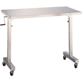 Stainless Steel Mobile Instrument Table, 48 x 24", Adjustable Height