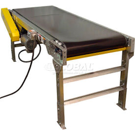 20"W Powered Belt Conveyor w/ Side Rails, 10'L, 60 FPM, 115/230V