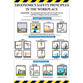 Poster, Ergonomics Safety Principles, 36 x 24