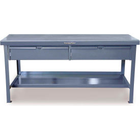 Storage Workbench W/ 2 Drawers & Shelf, Steel Square Edge, 48"W x 30"D, Gray