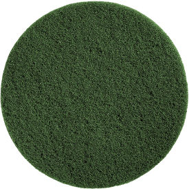 Scrubbing Pad, Green, 10/Case