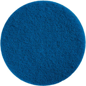 Scrubber Pad, Blue, 10/Case