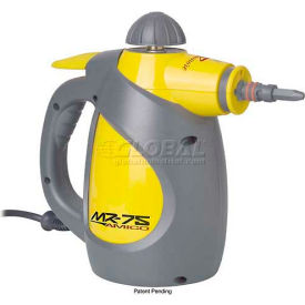 Portable Steam Cleaner