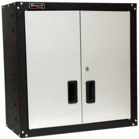 Wall Cabinet 2 Door With 2 Shelves