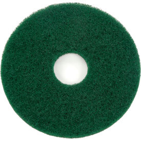 13" Scrubbing Pad, Green, 5 Per Case
