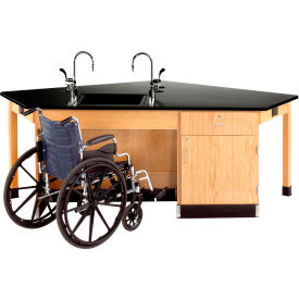 Forward Vision ADA Wooden Science Workstation with Door and Drawer Cabinet