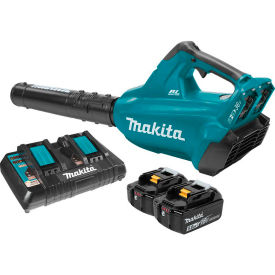 18V X2 (36V) LXT Cordless Brushless Blower Kit with Two 5.0Ah Batteries