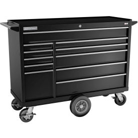 FMPro 54"W x 20-1/4"D x 43-1/8"H 11 Drawer Black Roller Cabinet