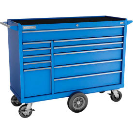 FMPro 54"W x 20-1/4"D x 43-1/8"H 11 Drawer Blue Roller Cabinet