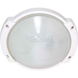60/516, 1 Light-Die Cast Bulk Head, Frosted Diffuser, Semi Gloss White, 10.5"W X 9.125"H