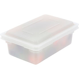 White Lid 18 x 12