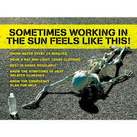 Safety Poster, SOMETIMES WORKING IN THE SUN FEELS LIKE, 17"H x 22"W, Laminated