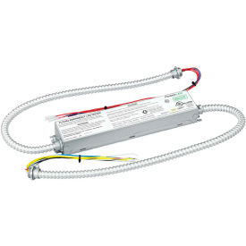 Dual-Lite Emergency LED Battery, 7W Output Power, Galvanized Steel w/ Two 24 conduits