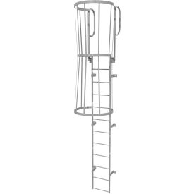 12 Step Steel Caged Walk Through Fixed Access Ladder, Gray