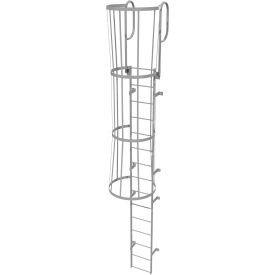 Steel Caged Walk Through Fixed Access Ladder, Gray