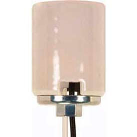 Keyless Porcelain Mogul Socket with Metal 1/4 IP Cap, 2 Wireways and 11-in. Leads