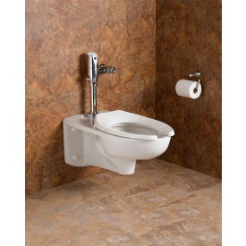 Afwall Universal Bowl Only, 1.1/1.6 GPF