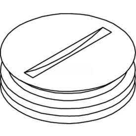 Floor Box 800 Series Abandon Plug, Brass, 3/4"