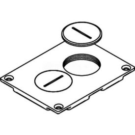 Floor Box Duplex Receptacle Cover W/Screw Plugs, Brass