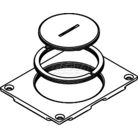 Floor Box Communication Cover, 2-5/8" & 2 1/4" Plugs, Brass