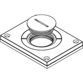 Floor Box Cover for Power or Comm, Brushed Aluminum, 2" & 1-1/4" Plugs
