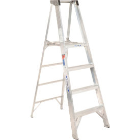 Werner 4' Aluminum Platform Ladder