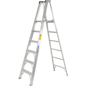 Werner 6' Aluminum Platform Ladder