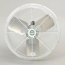 12" Barnstormer Variable Speed With Standard Bracket 1/10 HP 1020 CFM