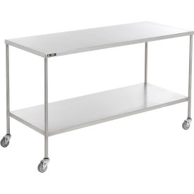 Stainless Steel Mobile Instrument Table, 36 x 20", Lower Shelf