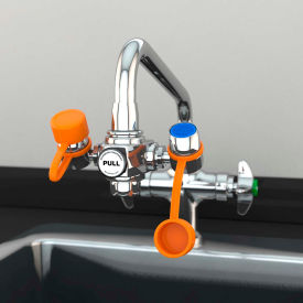 EyeSafe Faucet Mount Steel Eyewash Station, Assembled