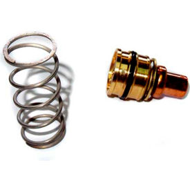 Rebuild Kit AM100-002RP, Standard Series Valves, 110 To 145°F