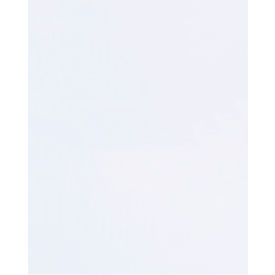 Flat Polypropylene Bags, 14"W x 20"L, 1.5 Mil, Clear, Pack of 1000