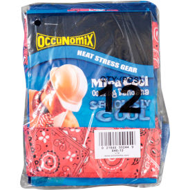 Bandana Assorted Colors 12 Pack