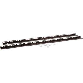 22U Wall Mount Vertical Rail Kit - Cage Nut