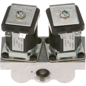 Dual Solenoid Valve, 3/8", 120V, 713656