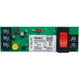 Track Mount Relay RIBMH1S / 4" / 15A / SPST-NO / 10-30VAC / DC / 208-277VAC / Override