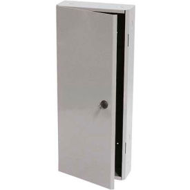 NEMA 1 Enclosure, 24.5"H x 10.25"W x 3.9"D, 18 Ga. Steel