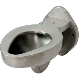 Blowout Jet Wall Mounted Toilet W/Back Spud, Stainless Steel Finish