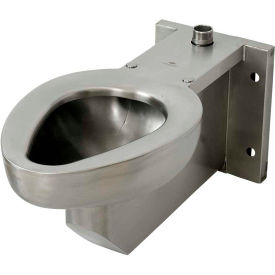 Wall Mounted Toilet W/Top Spud, Stainless Steel Finish