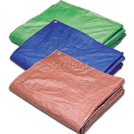 100'L X 100'W Poly Tarp, Blue 5 Mil