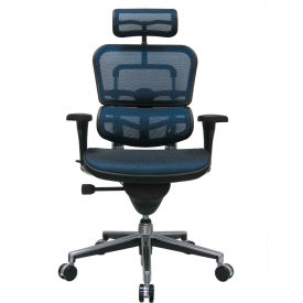 Executive High Back Chair - Blue Mesh