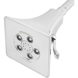Anystream Rainier Multi Function Shower Head