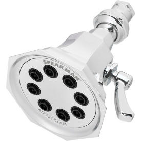 Anystream Vintage Shower Head
