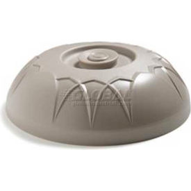 Insulated Dome, 10" Diameter, 12 Count, Latte