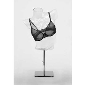Transparent Upper Body Mannequin
