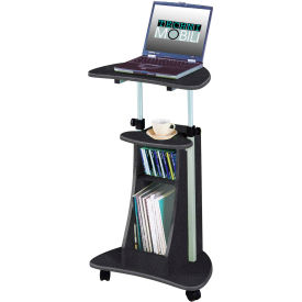 Sit-to-Stand Rolling Laptop Cart with Storage, 22"W x 16"D x 43"H, Graphite