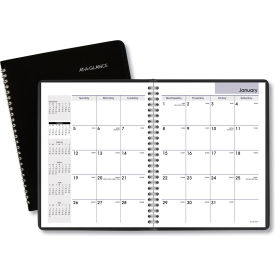 DayMinder Monthly Planner with Notes Column, Ruled Blocks, 8.75 x 7, 2025