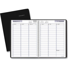 DayMinder Weekly Appointment Book, Vertical-Column Format, 11 x 8, 2025