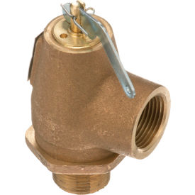 Safety Valve, 3/4" MPT x 3/4" FPT, For Southbend