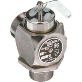 Steam Safety Valve, 3/4" For Cleveland, KE54941-2
